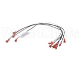 3041994 Hussmann Harness-Rtn400 Isf