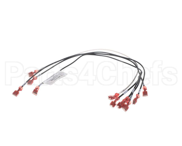 3041994 Hussmann Harness-Rtn400 Isf