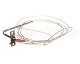 305990008 Atosa Temp Probe