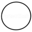 307119 Compatible Everpure O-Ring