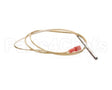 30857 Blodgett Probe,Rtd 500 Ohm T1648