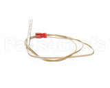 30857 Blodgett Probe,Rtd 500 Ohm T1648