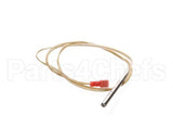 30857 Blodgett Probe,Rtd 500 Ohm T1648