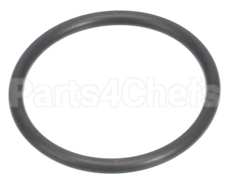 308696 Sloan O-Ring