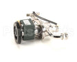 310-00006 Grindmaster Cecilware Water Pump, 120V
