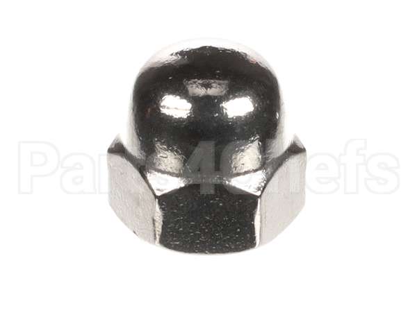 31010587500010 Doyon Hex Cap Nut