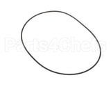 31233 Insinger O Ring Aqua Scrubber