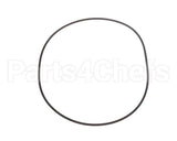 31233 Insinger O Ring Aqua Scrubber
