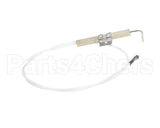 31313-0 Montague Electrode With Lead