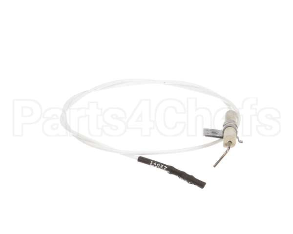 31313-0 Montague Electrode With Lead