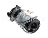 3149 Cornelius Pump / Mot 230V 50/60 Hz