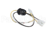 315789-751 Bryant Payne Harness-Pilot
