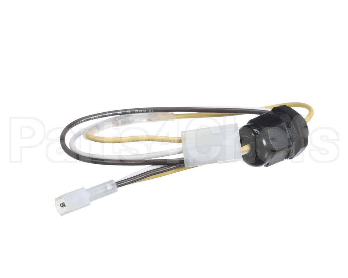 315789-751 Bryant Payne Harness-Pilot