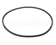 31606010001000 Doyon V Belt Spz 1000