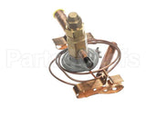 32-20431 Federal Industries Thermo Expansion Valve