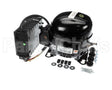 321-60204-20 Traulsen Compressor 115V 60Hz Low Temp
