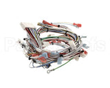 32263.0000 Bunn Wiring Harn,Main 120V Ultra-2