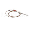 32289 Compatible Blodgett Probe, Rtd 500Ohm Rt Ang Le