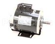 329333 Accurex Motor,56,Nidec 1893