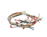 33075 Blodgett Harness, Control 208/240 Kfc