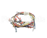33075 Blodgett Harness, Control 208/240 Kfc