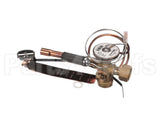 331709-752 Bryant Payne Kit Valve Txv Replacement