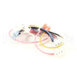 333-60249-00 Compatible Traulsen Wireharness, Adapter