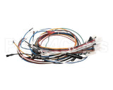 33573 Imperial Icv-G (New Model) Wire Harness