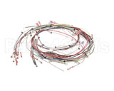 33634.0001 Bunn Wiring Harness,Main Dual Sh