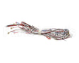 33634.0040 Bunn Wiring Harn,Main- Dual Sh