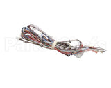 33634.0040 Bunn Wiring Harn,Main- Dual Sh
