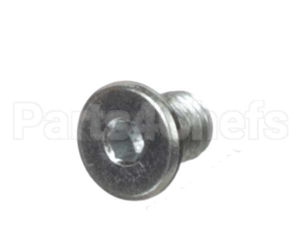3371999009 Schaerer Hex Socket Cap Scr. L.h. M6X8 Galv.