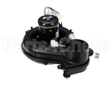 337938-785-CBP Bryant Payne 115V Inducer Blower