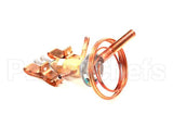 3388 Preprite Desmon Thermal Expansion Valve R300152U