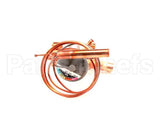 3388 Preprite Desmon Thermal Expansion Valve R300152U