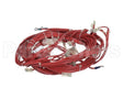 33Z0104 Merrychef E2S Main Loom