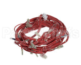 33Z0104 Merrychef E2S Main Loom