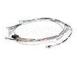 34055.0000 Bunn Wiring Harness, Cbdc - Dv
