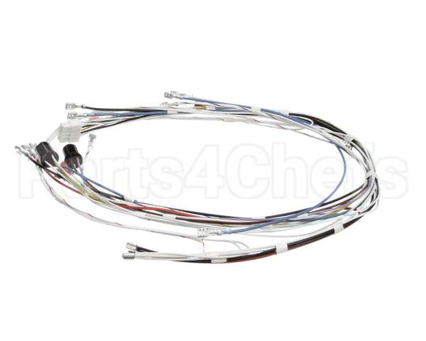 34055.0000 Bunn Wiring Harness, Cbdc - Dv