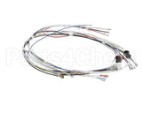 34055.0000 Bunn Wiring Harness, Cbdc - Dv