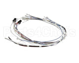 34055.0000 Bunn Wiring Harness, Cbdc - Dv