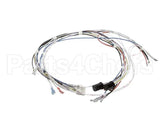 34055.0000 Bunn Wiring Harness, Cbdc - Dv