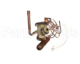340620-704 Bryant Payne Txv Kit