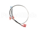 343-00062 Grindmaster Cecilware Harness, Heated Plenum