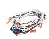 343-00144 Grindmaster Cecilware Wire Harness