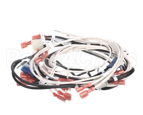 343-00144 Grindmaster Cecilware Wire Harness