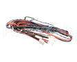 343-00146 Grindmaster Cecilware Wire Harness