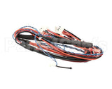 343-00146 Grindmaster Cecilware Wire Harness