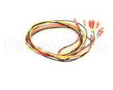 34470 Blodgett Harness, Motor Two Speed