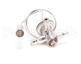 3516429 Delfield Valve,Therm Exp,W/O Mop, Small